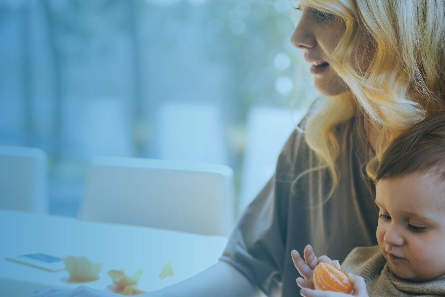 Conveyancing Process