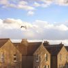 The Difference Between Leasehold and Freehold